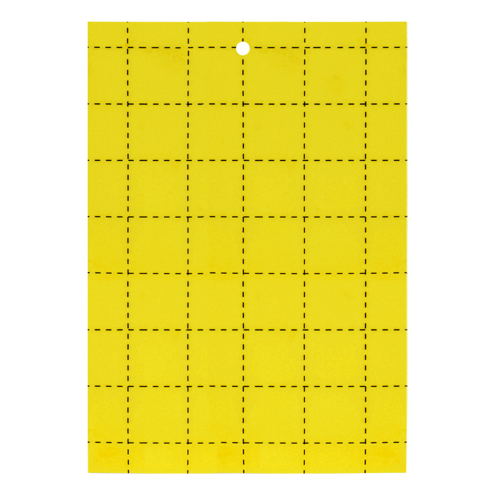 GROW1 Sticky Card Traps Yellow 5in x 8in (100 Pack)