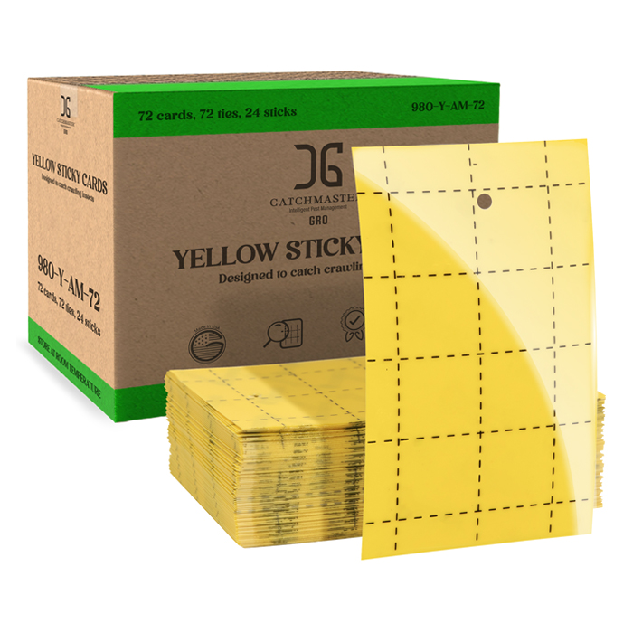 Catchmaster 3in x 5in Double-Sided Yellow Sticky Card Insect Traps (72pcs/Pack)