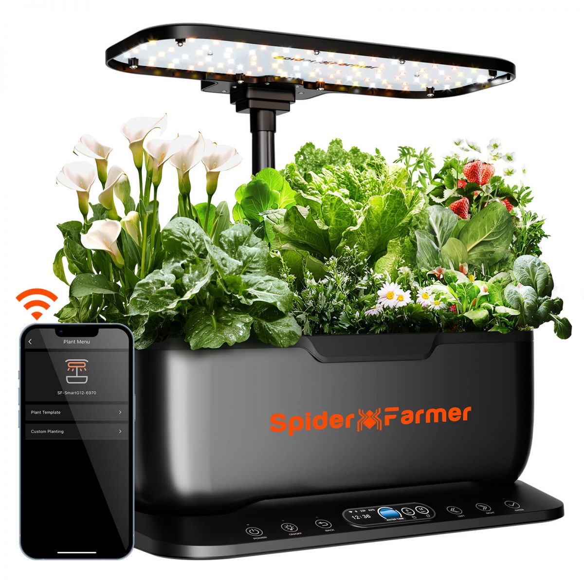 36W hydroponic grow system