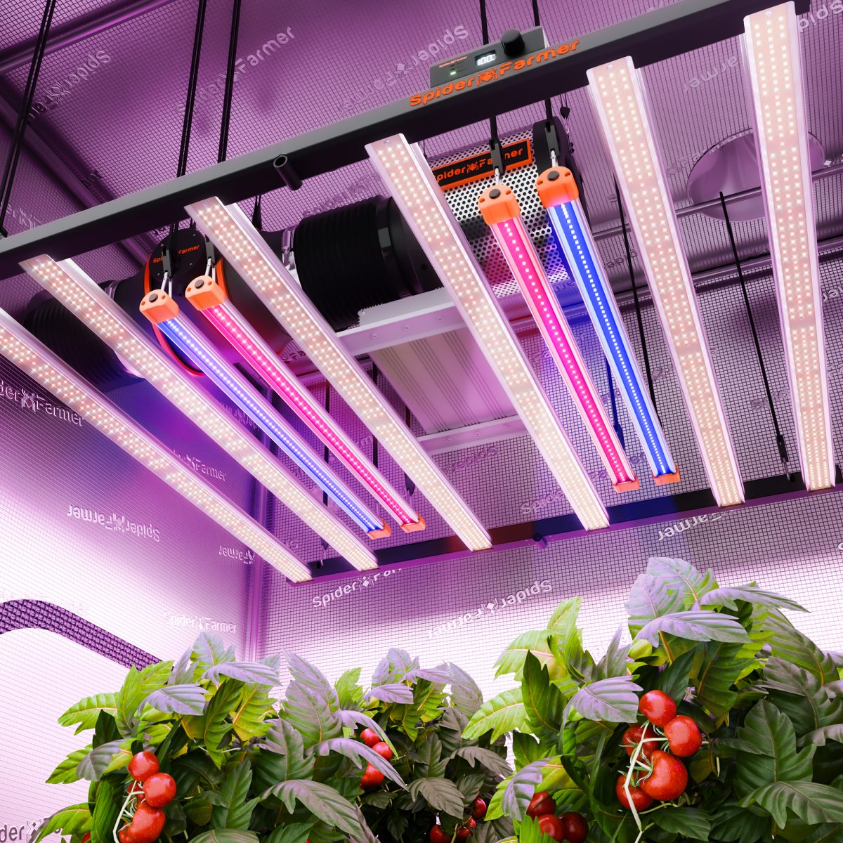 UV+IR bars set 90cm (2×UV + 2×IR)