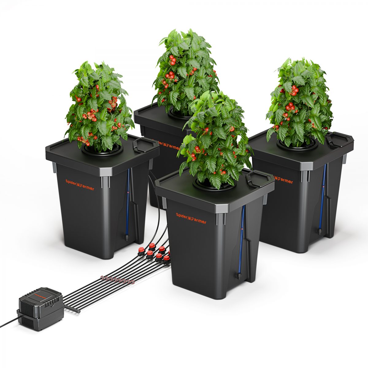 2-Bucket DWC Hydroponic System