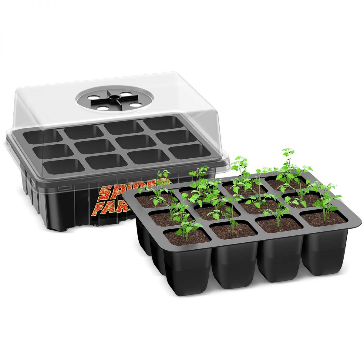 Seed Starting Trays, 4-Pack